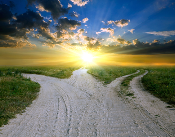 Are You on the Right Path?